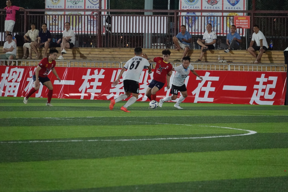 图片, 华南狮与东