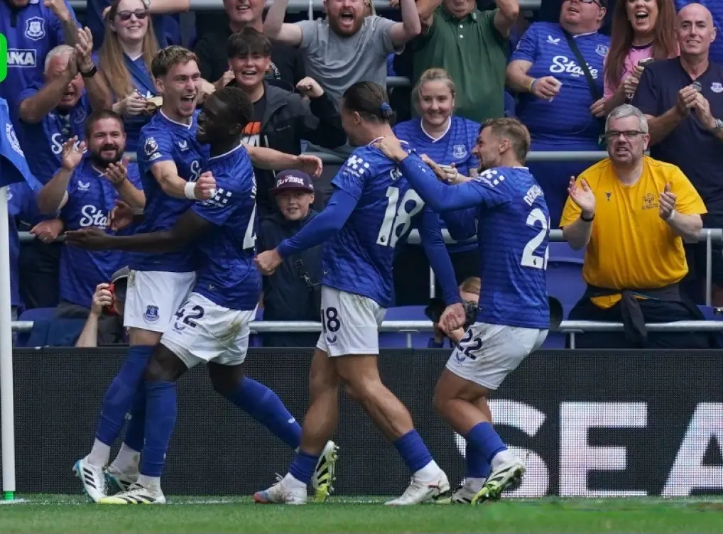 韧带, cn 韧带, cn