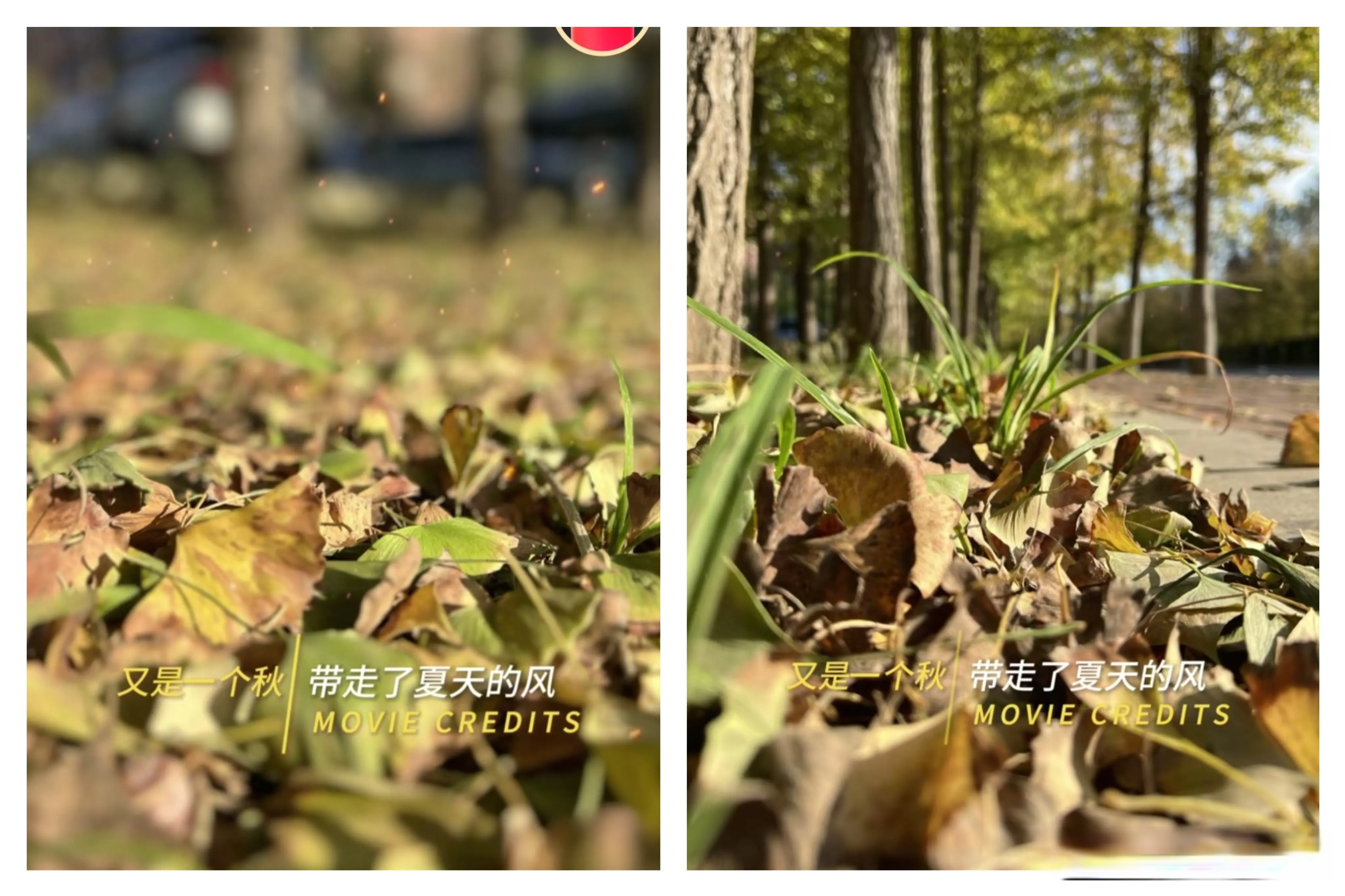 AA, 姐姐发了好, alt AA, 姐姐发了好, alt